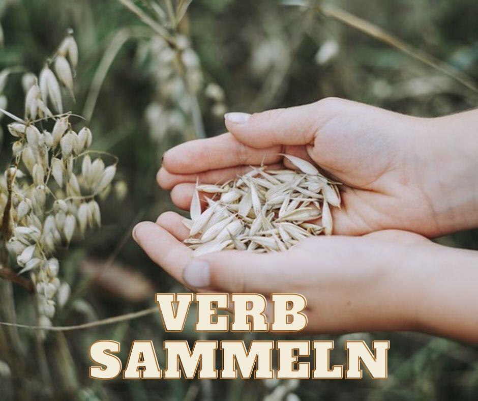 VERB SAMMELN BEİSPİELSÄTZE – DEUTSCHE VERBEN LERNEN