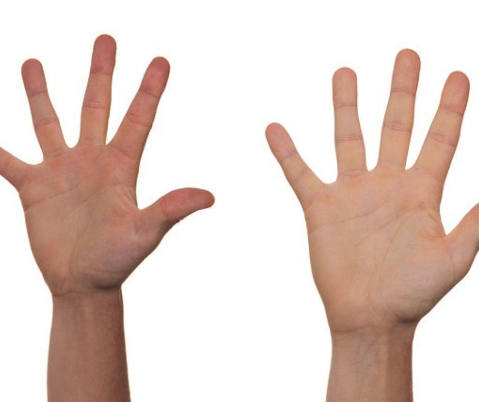 Женская рука. Группа ладони. Ладонь сверху. Руки душат на белом фоне. Белые ладони у человека.